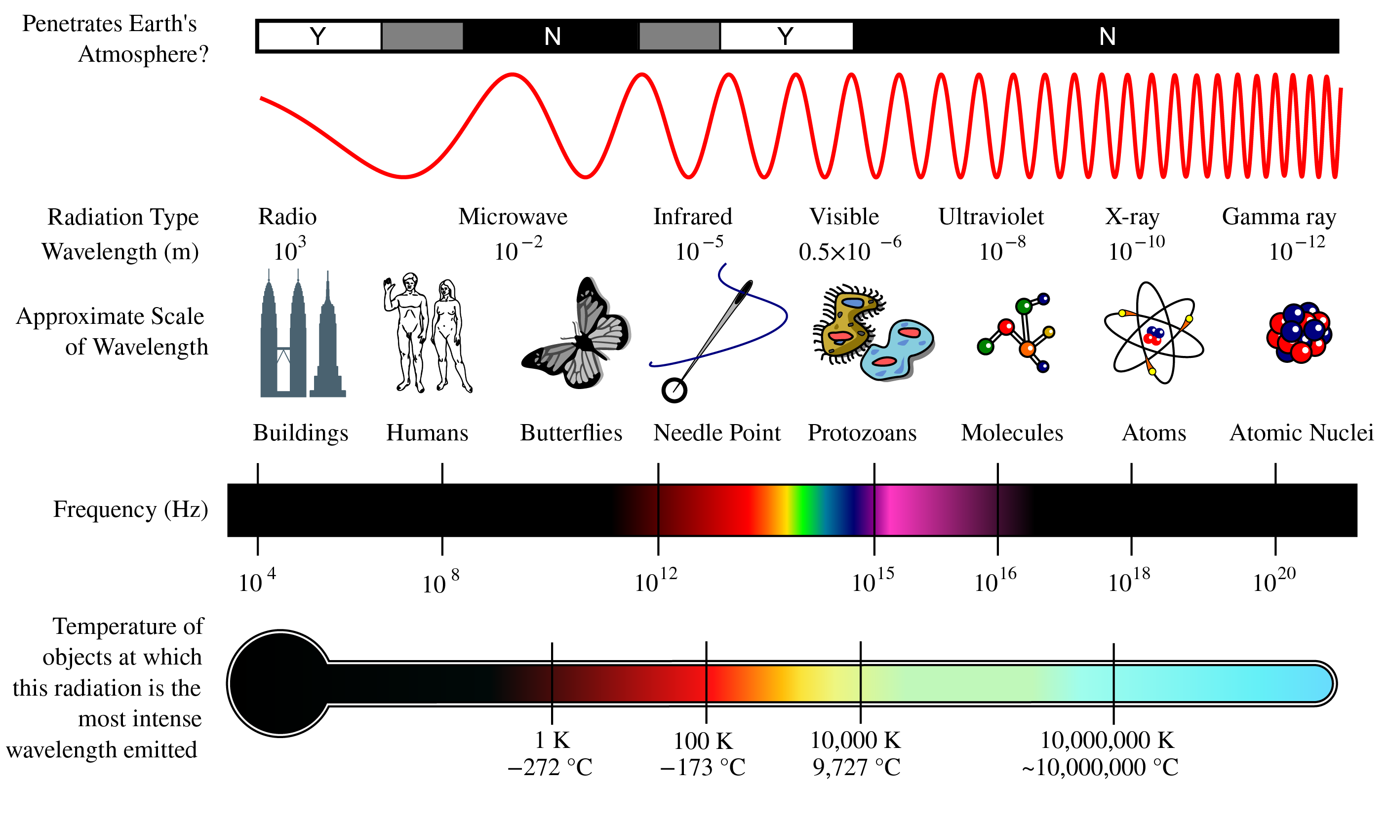 The complete electromagnetic spectrum showing the continuous range of electromagnetic radiation from radio waves (longest wavelength, lowest frequency) to gamma rays (shortest wavelength, highest frequency). Wavelengths are given in meters, with visible light occupying only a narrow band from approximately 400-700 nanometers. Note the logarithmic scale spanning over 20 orders of magnitude in both wavelength and frequency, illustrating the vast range of electromagnetic phenomena from everyday radio communications to high-energy cosmic radiation.