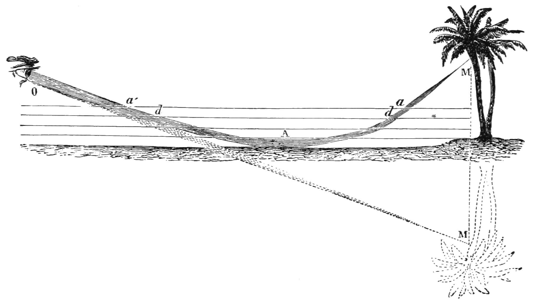Because the temperature close to the ground is higher, the refractive index is lower there. Therefore the rays bend upwards, creating a mirror image of the tree below the ground. (From Popular Science Monthly Volume 5, Public Domain, link).