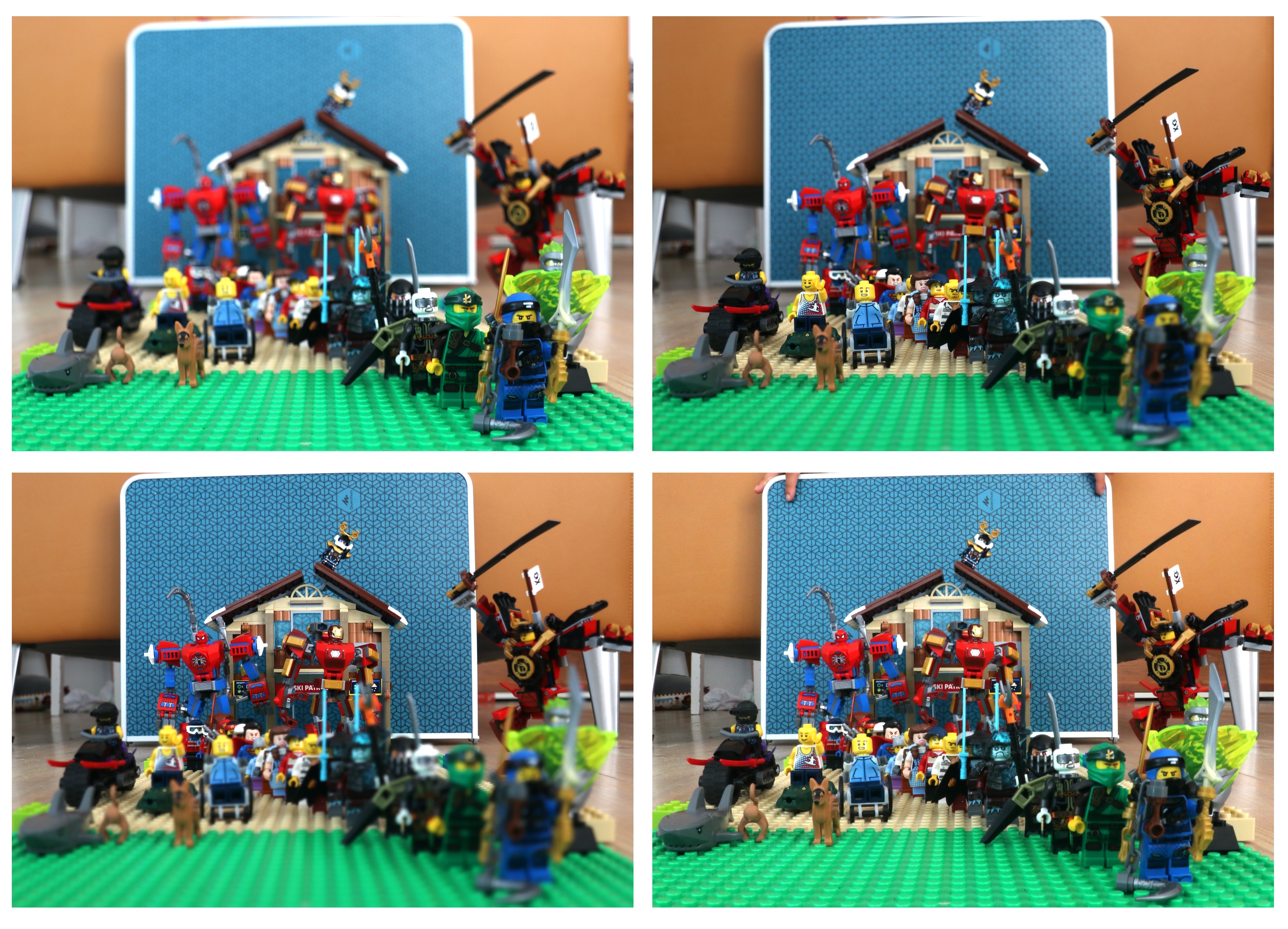 Four images taken with different diaphragm and different focal plane. The image on bottom right is taken with a small diaphragm and the entire image appears clear (photos taken by Aurèle J.L. ADAM / CC BY-SA).