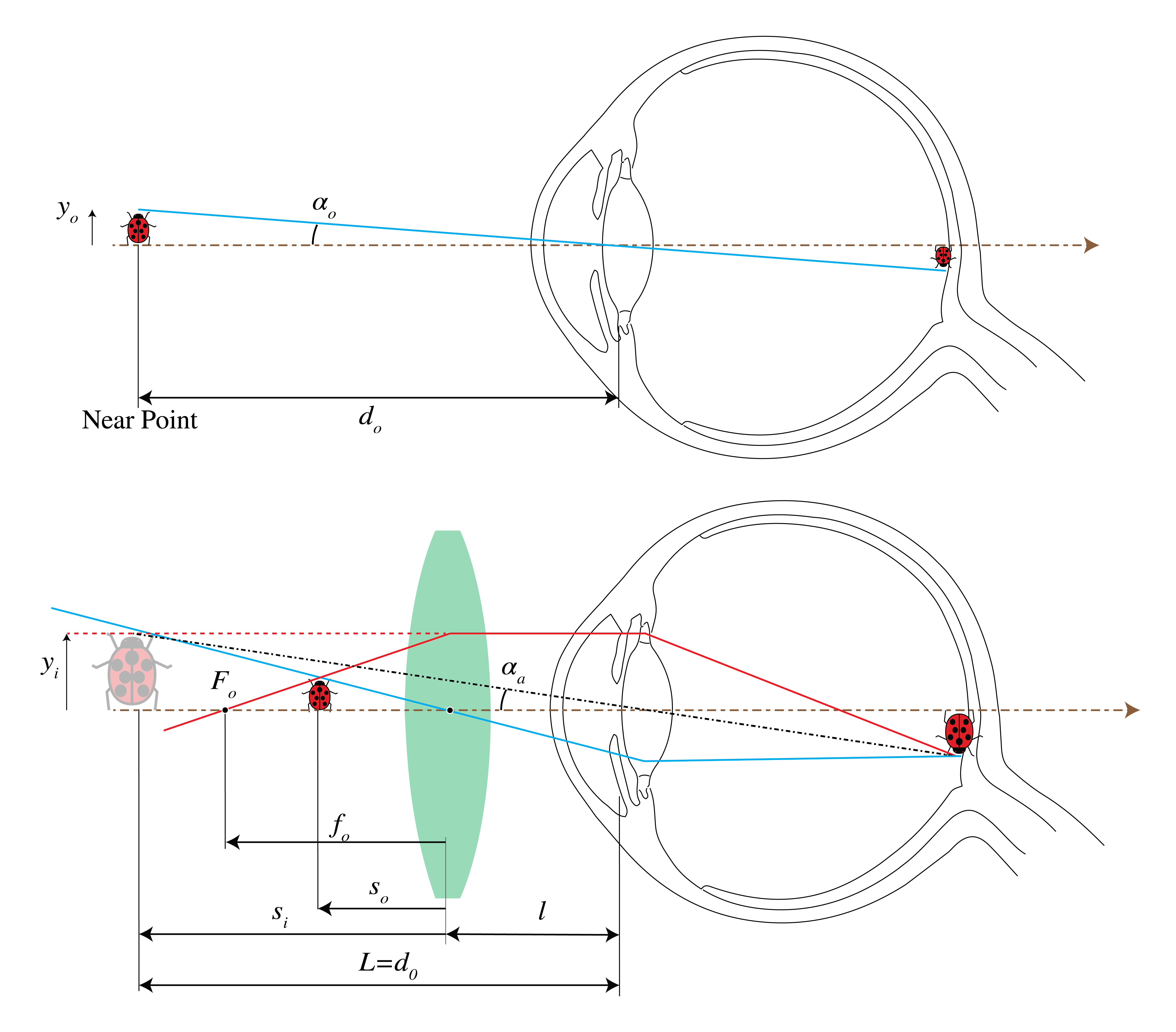 An unaided view (top) and an aided view using a magnifier.