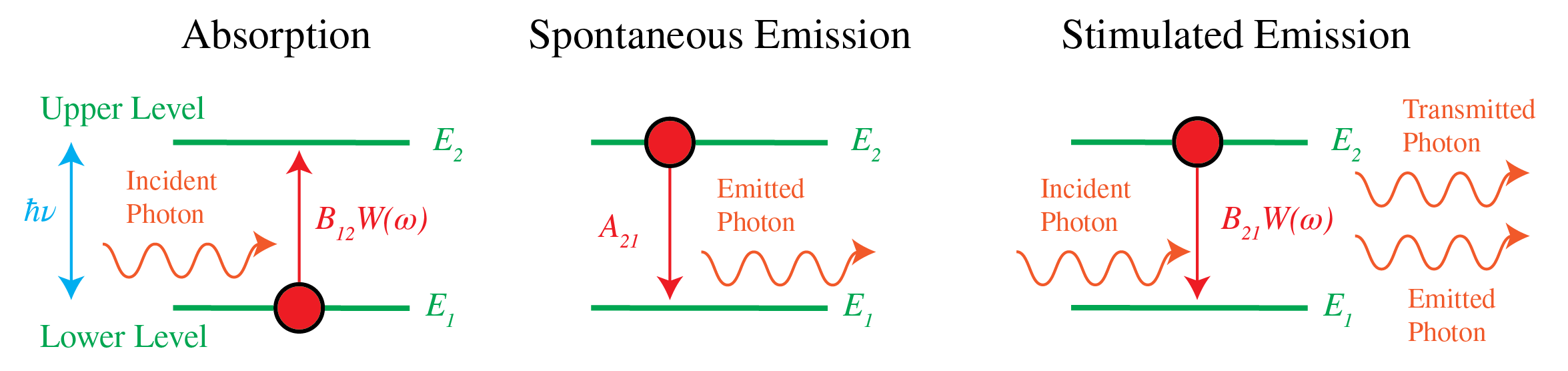 Absorption, spontaneous emission and stimulated emission.