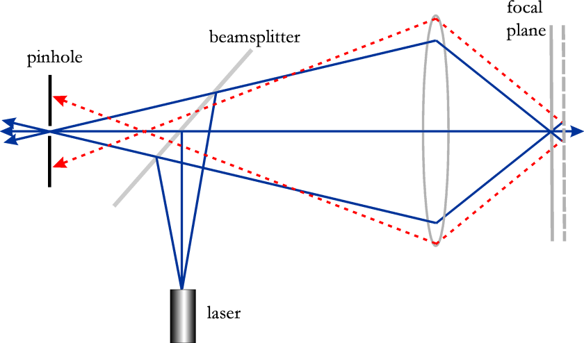 Schematic of a confocal microscope and its principle