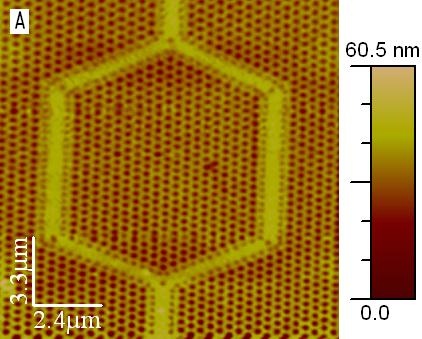 Left: Topographic AFM image of a Photonics Band Gap (PBG) structure, imaged with a 150 nm AFM/NSOM cantilevered probe. Right: NSOM image of the PBG structure using 532 nm laser wavelength.