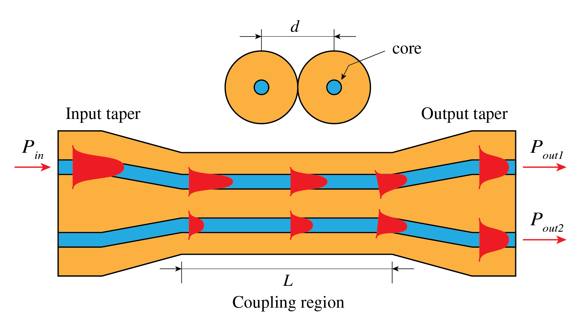EM-fields in optical fibers are not confined to the core but extend in the cladding. By bringing two fiber cores in close proximity, light can be coupled from one fiber into another.