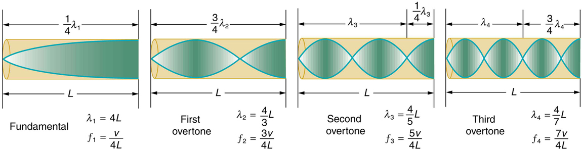 The right side shows a vibrating tuning fork with its right arm moving rightward and left arm moving leftward. The left side shows a cone of resonance waves reflected at the closed end of the tube. The curve side of the cone has reached the tuning fork. The length of the tube is given to be equal to lambda divided by four.
