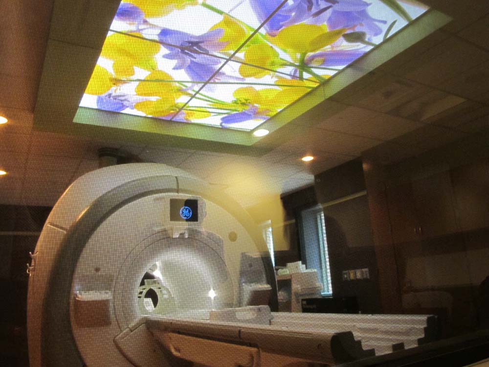Instrument for magnetic resonance imaging (MRI). The device uses a superconducting cylindrical coil for the main magnetic field. The patient goes into this “tunnel” on the gurney. (credit: Bill McChesney, Flickr) M R I machine at a hospital.