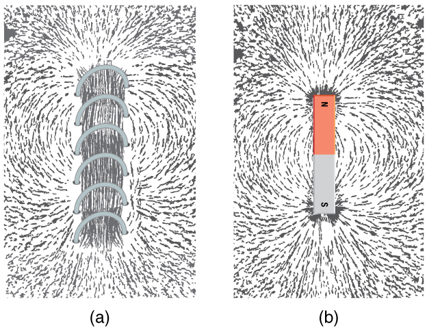 Iron filings near (a) a current-carrying coil and (b) a magnet act like tiny compass needles, showing the shape of their fields. Their response to a current-carrying coil and a permanent magnet is seen to be very similar, especially near the ends of the coil and the magnet. The arrangement of iron filings as they are affected by a metal coil that is carrying an electric current and a bar magnet. At the poles of the magnet, the filings are aligned radially to the poles. Between the poles, the filings are roughly parallel to the magnet. Thus, from one pole to the other, the filings have an arcuate arrangement. The density of filings is very high at the poles and relatively low on either side of the center of the magnet. The arrangement is similar around the current-carrying coil.