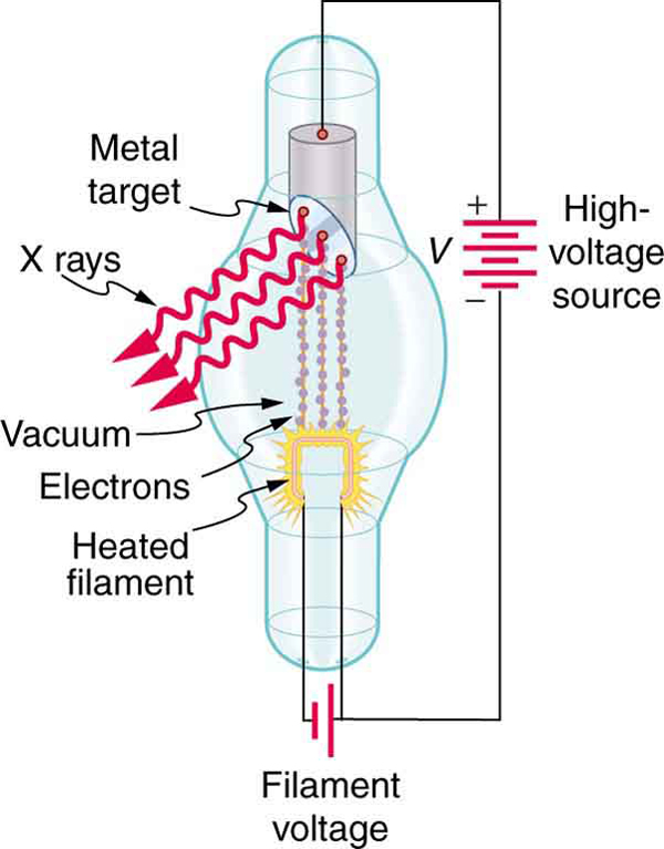 A cathode ray tube connected to a high-voltage source is shown in the figure. The image shows electrons coming out of the heated filament at one end of the vacuum tube as tiny balls, and hitting the metal plate at the opposite end of the vacuum tube. X-rays are shown coming out from the metal plate in the form of waves.