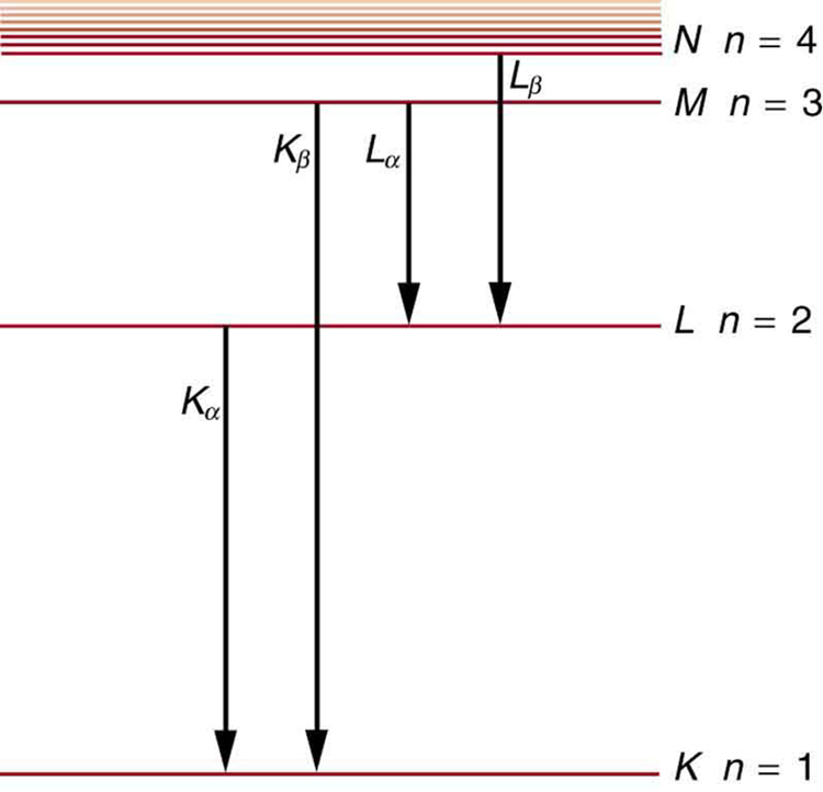 Different energy levels are shown in the form of horizontal lines. The line at the bottom shows the energy level for n is equal to one for the K shell. At a distance above this line, another horizontal line shows the energy level for n is equal to two for the shell L. Similarly, other lines are shown for the shells M and N. As we move from bottom to the top, the distance between the lines decreases, and near the end a few lines are shown very close to each other. Each level is labeled according to the characteristic X-ray of the shell.